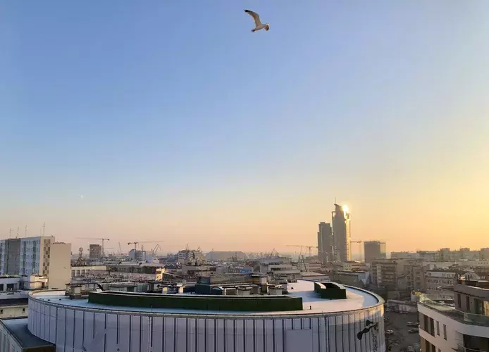 out-of-season. plik: tlusta-mewa-apartament-gdynia-out-of-season-poza-sezonem - 44.webp